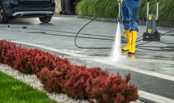 Trusted Ingram, TX  Pressure Washing Services Experts